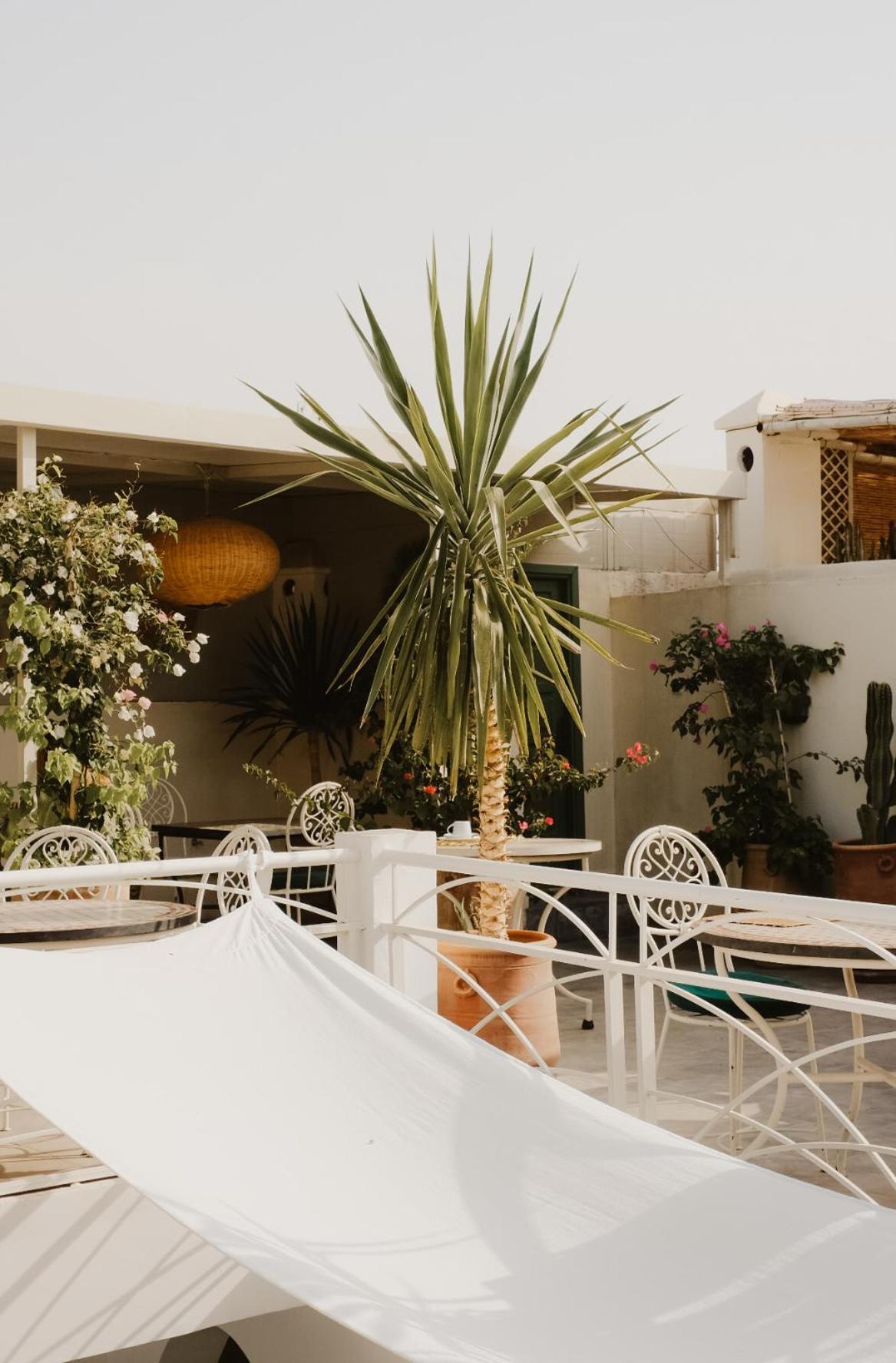 Riad Dar Blanche & Spa Marrakesh Bagian luar foto