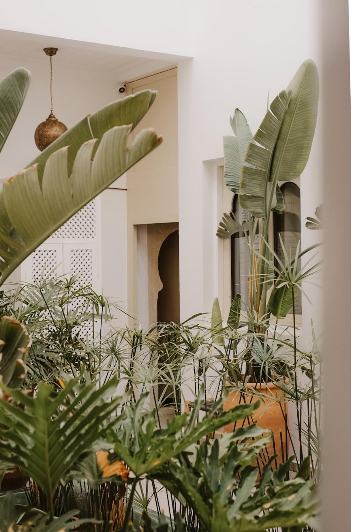 Riad Dar Blanche & Spa Marrakesh Bagian luar foto